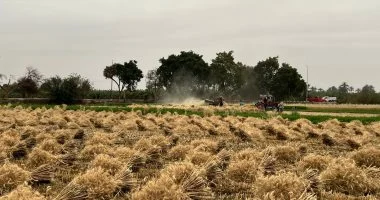 اخبار المنيا